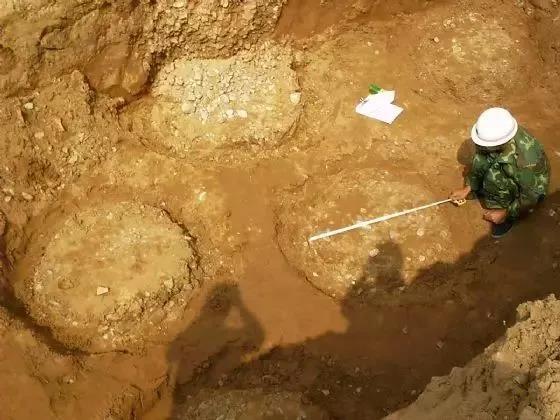 1574306570.jpg 微信圖片_20191121111652.jpg